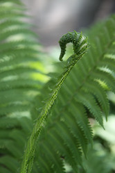 Similar image 1304489