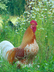 Similar image 1304493