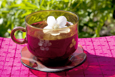 Similar image 1304550