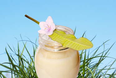 Similar image 1304564