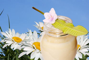 Similar image 1304569