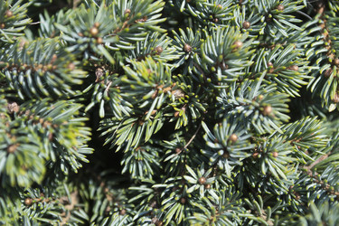 Similar image 1304572