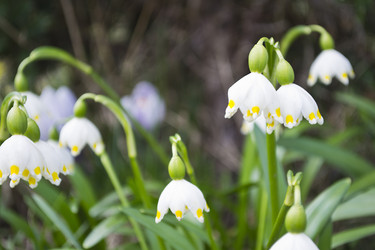 Similar image 1304573