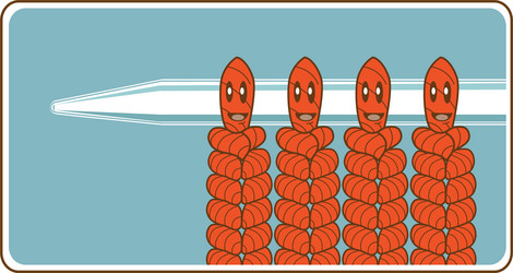 Similar image 1304664