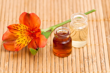 Similar image 1304699