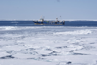 Similar image 1304708