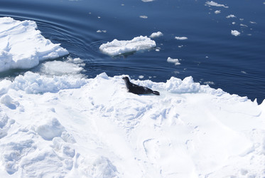 Similar image 1304709