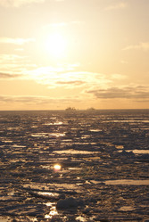 Similar image 1304711