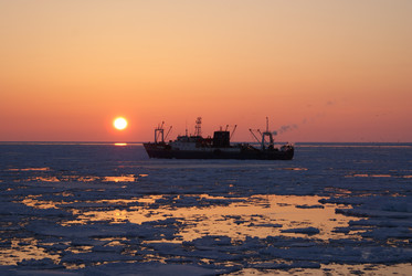 Similar image 1304712