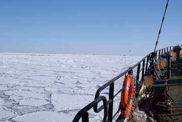 Similar image 1304713