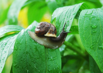 Similar image 1304775