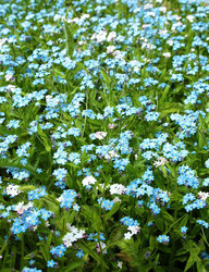 Similar image 1304777