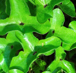 Similar image 1304778