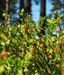 Similar image 1304780