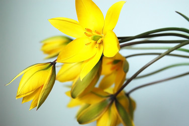 Similar image 1304782