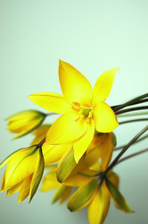 Similar image 1304783