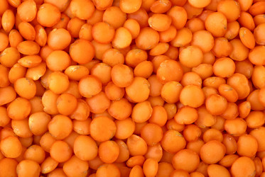 Similar image 1304809