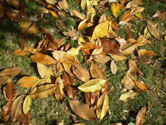 Similar image 1304813