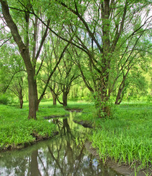 Similar image 1304854