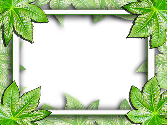 Similar image 1304874