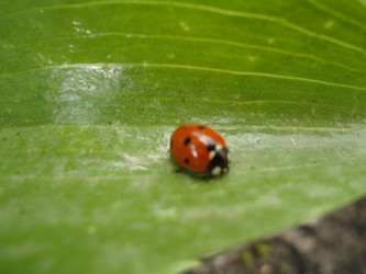 Similar image 1305034