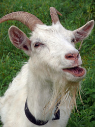 Similar image 1305044