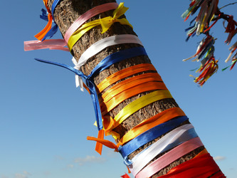 Similar image 1305046