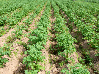 Similar image 1305051