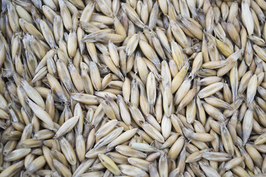 Similar image 1305463