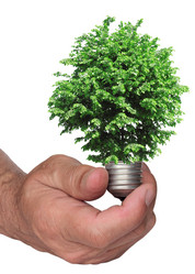 Similar image 1305567