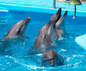 Similar image 1305577