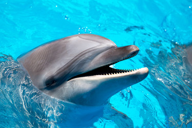 Similar image 1305578