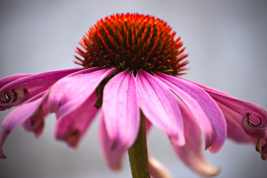 Similar image 1305656