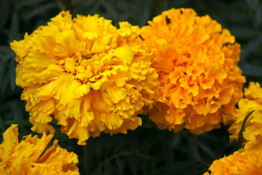 Similar image 1305657