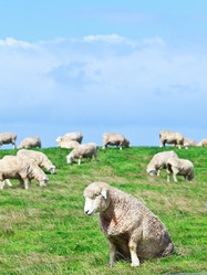 Similar image 1305974