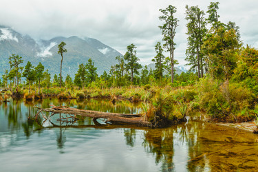 Similar image 1305979