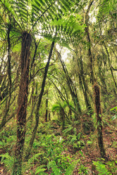 Similar image 1305980