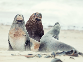 Similar image 1305988