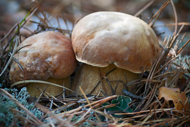 Similar image 1306677