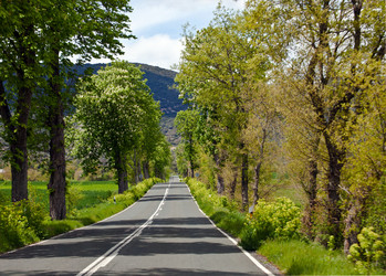 Similar image 1306732