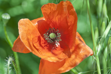 Similar image 1306767