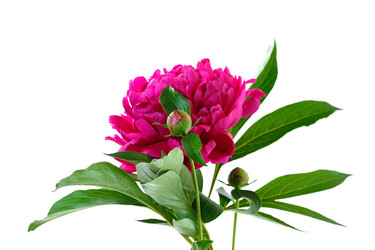 Similar image 1306842