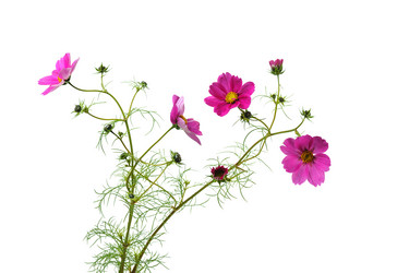 Similar image 1306845