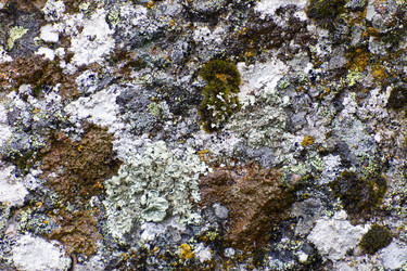 Similar image 1306869