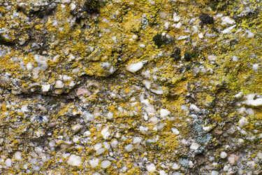 Similar image 1306870