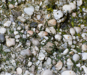 Similar image 1306871