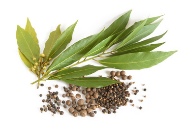 Similar image 1306959