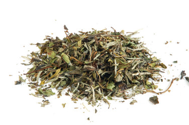 Similar image 1306963