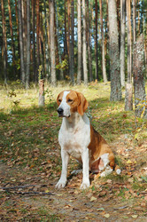 Similar image 1306965