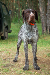 Similar image 1306966